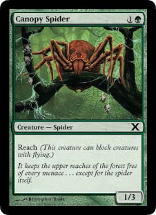 Canopy Spider/̒w-C10E[510574]