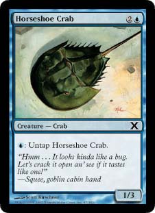 Horseshoe Crab/JugKj-C10E[510220]