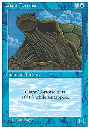 Giant Tortoise/ۋT-C[4560420]