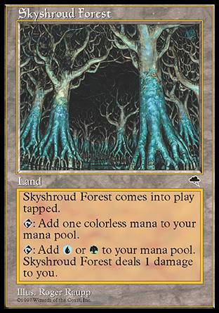 XJCVEh̐X/Skyshroud Forest-RTPy[130638]