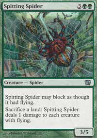 œfw/Spitting Spider-U8ED[830606]