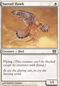 z̑/Suntail Hawk-C8ED[830114]