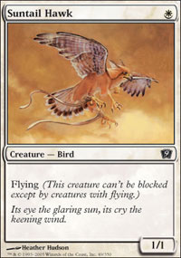 Suntail Hawk/z̑-C9E[410110]