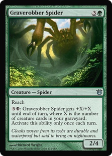 Graverobber Spider/r炵w-UBNG[77244]
