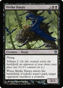 Shrike Harpy/Ỹn[s[-UBNG[77144]