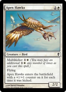 Apex Hawks/V̑-CCNS[80028]