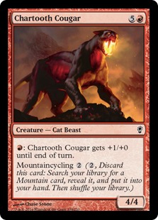 Chartooth Cougar/ł̃N[K[-CCNS[80202]