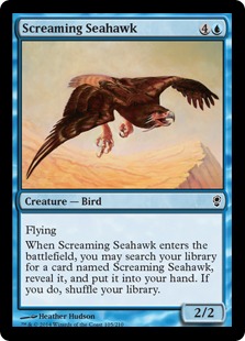 Screaming Seahawk/ԃE~^J-CCNS[80106]
