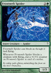 Frostweb Spider/Ԃ̒w-CCS[460236]