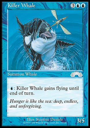 El~/Killer Whale-UEX[150074]
