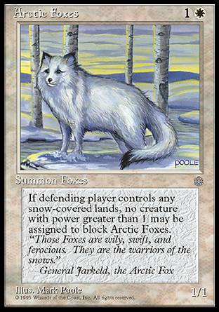 Arctic Foxes/(kɌ)-CIA[800066]