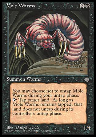 Mole Worms/@-UIA[800282]