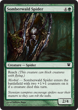 Somberwald Spider/\o[h̒w-CIS[680412]