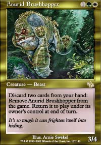Anurid Brushhopper/M˃Ak[bh-RJUD}[1168]