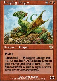 Fledgling Dragon/hS-RJUD[1118]
