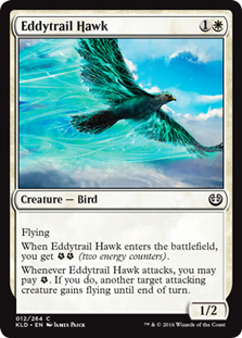 Eddytrail Hawk/QՂ̑-CKLD[93044]