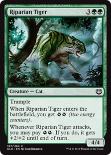 Riparian Tiger/ӂ̌-CKLD[93338]