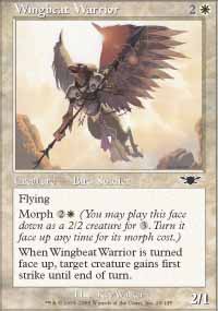 H΂m/Wingbeat Warrior-CLGN[710056]