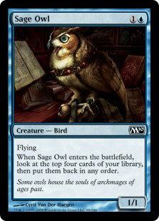 Sage Owl/mtNE-CM10[600150]