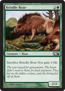 Brindle Boar/̒-CM11[630360]