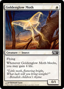 Goldenglow Moth/̉-CM11[630050]