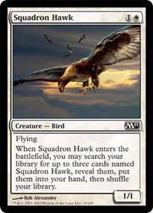 Squadron Hawk/̑-CM11[630072]