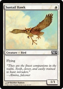 Suntail Hawk/z̑-CM14[75080]