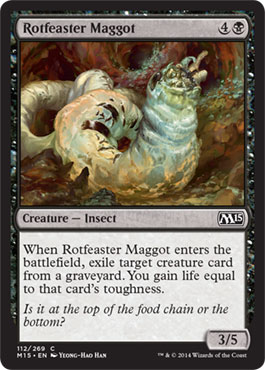 Rotfeaster Maggot/s򂢂v-CM15[81236]