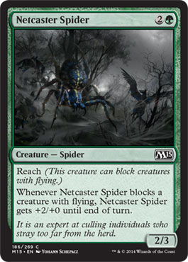 Netcaster Spider/ԓw-CM15[81396]