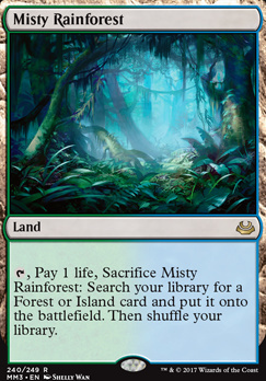 Misty Rainforest/[J-RMM3y[97620]