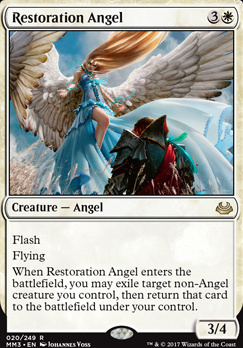 Restoration Angel/C̓Vg-RMM3[97300]