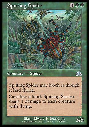 Spitting Spider/œfw-UPR[210240]