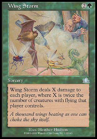 Wing Storm/̗-[210246]