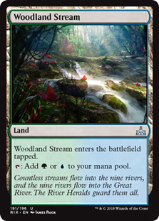 Woodland Stream/Xђn̏-URIXy[102378]