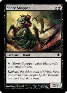 Shore Snapper/݂݂̊-CSA[560176]