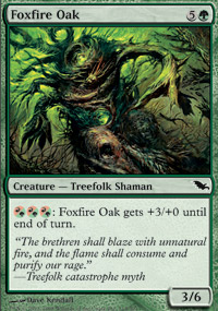 Foxfire Oak/ω΂̊~-CSM[540250]