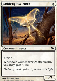 Goldenglow Moth/̉-CSM[540034]