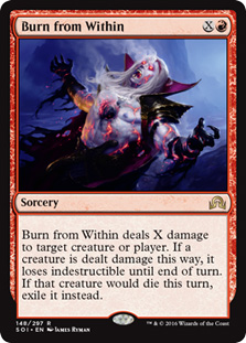 Burn from Within/-RSOI[900294]