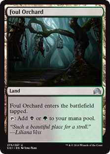 Foul Orchard/qꂽʎ-USOIy[900554]