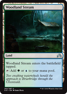Woodland Stream/Xђn̏-USOIy[900560]