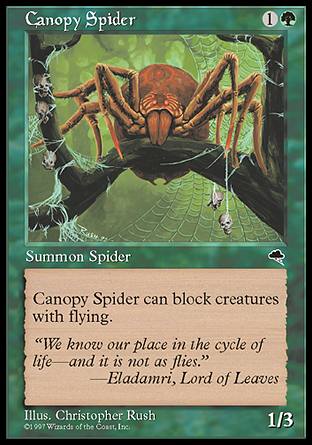 ̒w/Canopy Spider-CTP[130490]