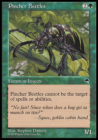 ͂݃Jug/Pincher Beetles-CTP[130504]