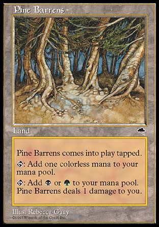 ̂₹n/Pine Barrens-RTPy[130630]