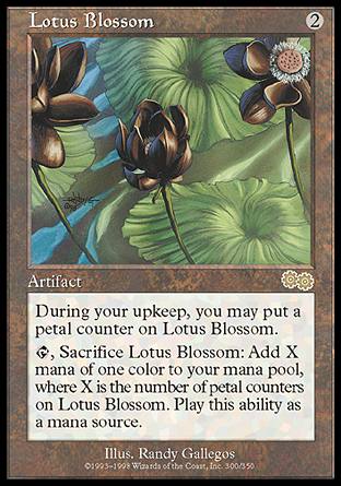 Lotus Blossom/@̉-RUSA[501016]